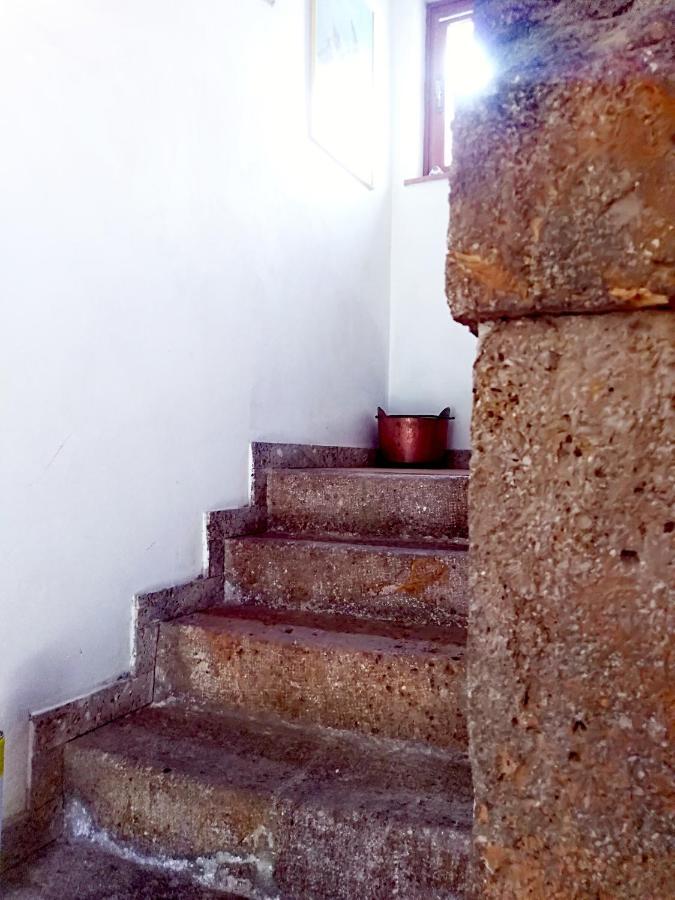 Cjasa Da Puci Daire Ovaro Dış mekan fotoğraf
