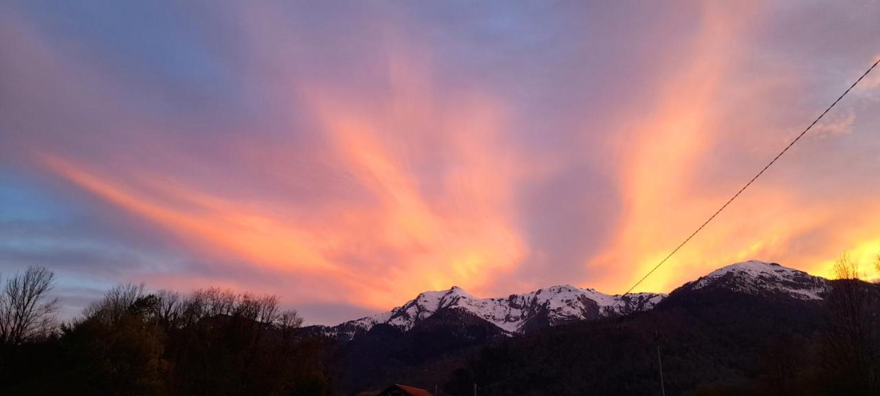 Cjasa Da Puci Daire Ovaro Dış mekan fotoğraf