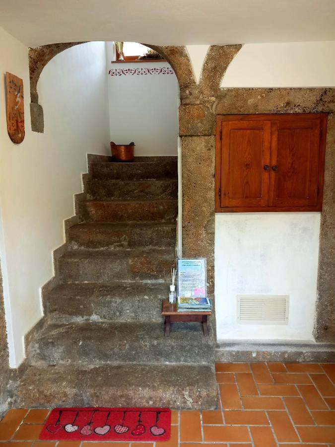 Cjasa Da Puci Daire Ovaro Dış mekan fotoğraf
